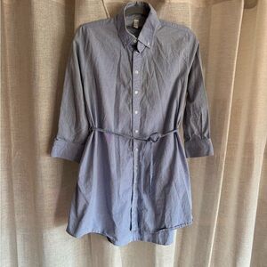 American Apparel Oxford chambray shirt dress